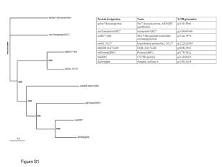 Figure S1