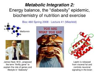 Bioc 460 Spring 2008 - Lecture 41 (Miesfeld)