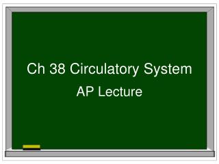 Ch 38 Circulatory System