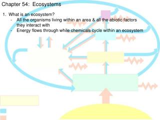 Chapter 54: Ecosystems
