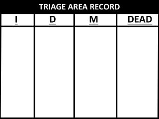 TRIAGE AREA RECORD