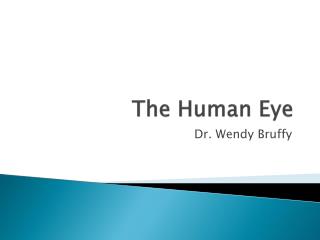 The Human Eye