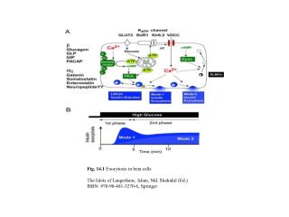 Fig. 14.1 Exocytosis in beta cells The Islets of Langerhans, Islam, Md. Shahidul (Ed.)