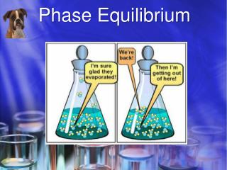 Phase Equilibrium