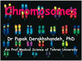 Chromosomes