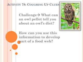 Activity 78: Coughing Up Clues