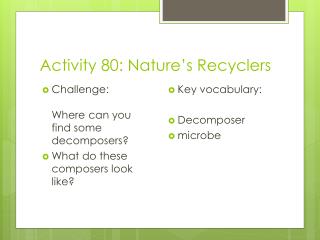 Activity 80: Nature’s Recyclers