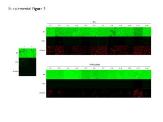 Supplemental Figure 2