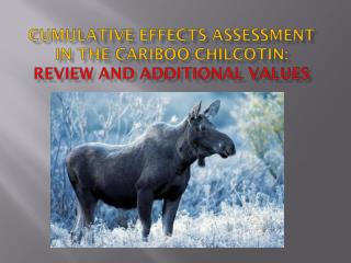 Cumulative Effects Assessment in the Cariboo-Chilcotin : Review and additional values