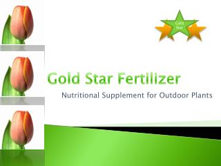 Nutritional Supplement for Outdoor Plants