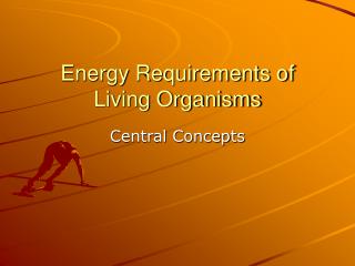 Energy Requirements of Living Organisms