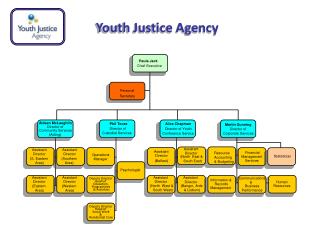 Youth Justice Agency