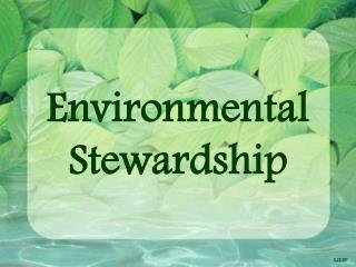 Environmental Stewardship