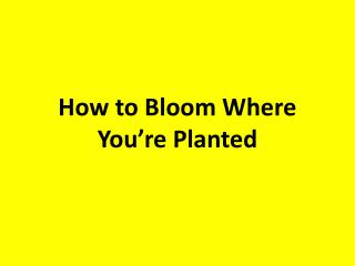 How to Bloom Where You’re Planted