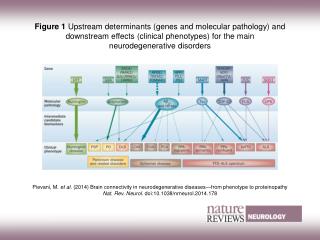 nrneurol.2014.178 pf1