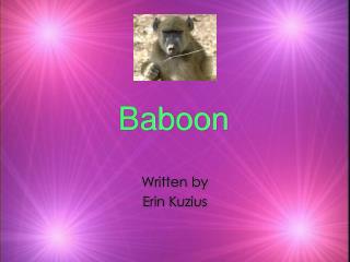 Baboon