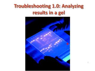 Troubleshooting 1.0: Analyzing results in a gel