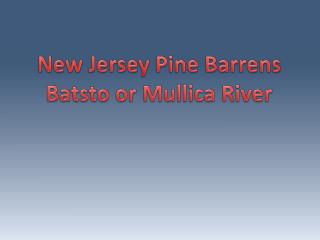 New Jersey Pine Barrens Batsto or Mullica River