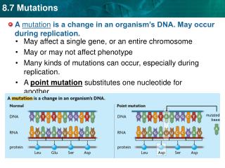 A mutation is a change in an organism’s DNA. May occur during replication.
