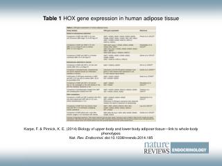 Table 1 HOX gene expression in human adipose tissue