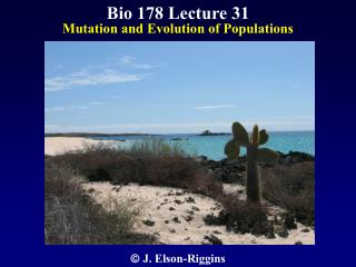 Bio 178 Lecture 31