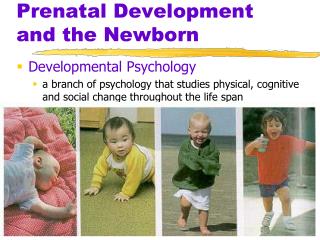 Prenatal Development and the Newborn