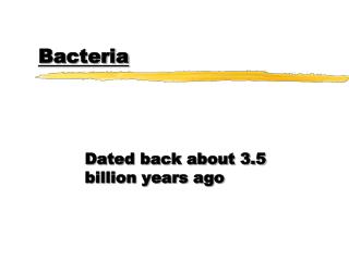 Bacteria