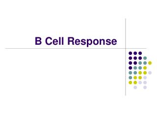B Cell Response