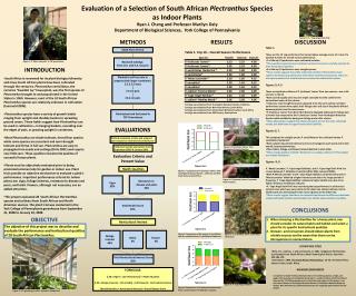 Evaluation of a Selection of South African Plectranthus Species as Indoor Plants
