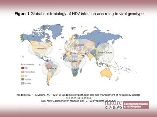 Figure 1 Global epidemiology of HDV infection according to viral genotype