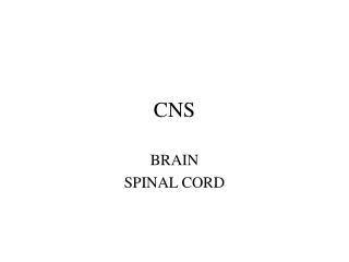 CNS