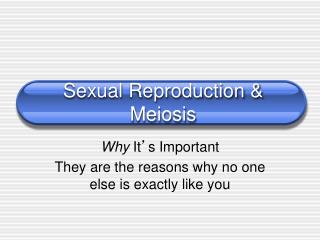 Sexual Reproduction &amp; Meiosis