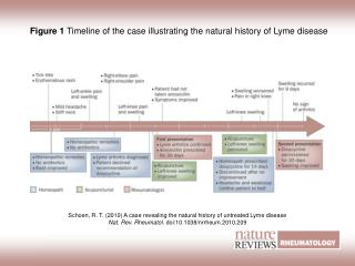 Figure 1 Timeline of the case illustrating the natural history of Lyme disease