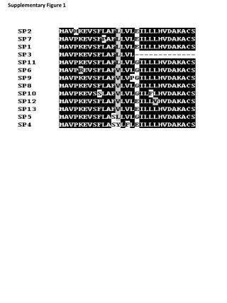 Supplementary Figure 1