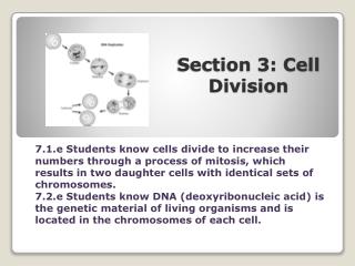 Section 3: Cell Division