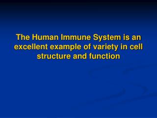 The Human Immune System is an excellent example of variety in cell structure and function