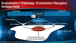 PAH-specific Therapies: US FDA Approvals