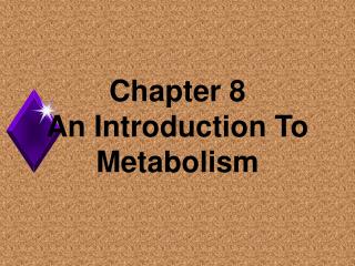 Chapter 8 An Introduction To Metabolism