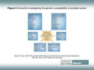 Figure 3 Consortia investigating the genetic susceptibility to prostate cancer