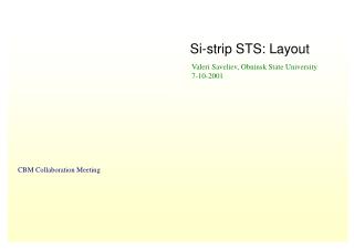 Si-strip STS: Layout