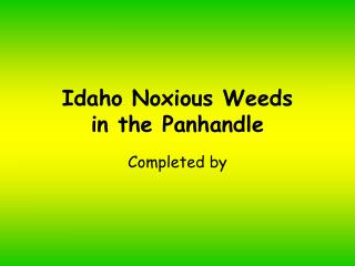 Idaho Noxious Weeds in the Panhandle