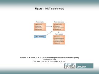 Figure 1 MDT cancer care