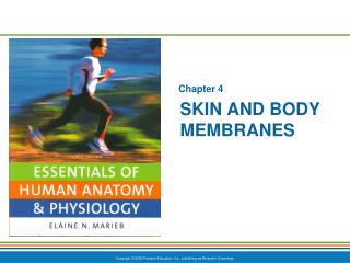 Skin and body Membranes