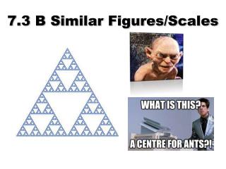 7.3 B Similar Figures/Scales