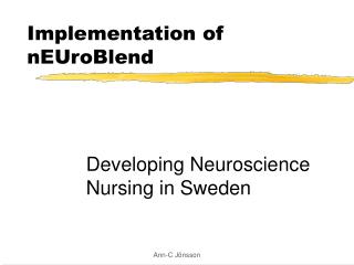 Implementation of nEUroBlend
