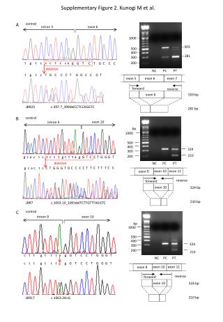 Supplementary Figure 2. Kunogi M et al.