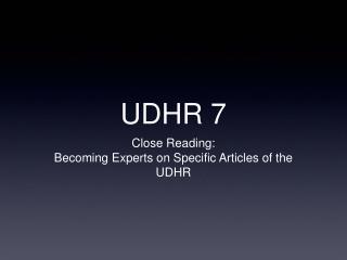 UDHR 7