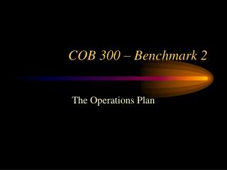 COB 300 – Benchmark 2