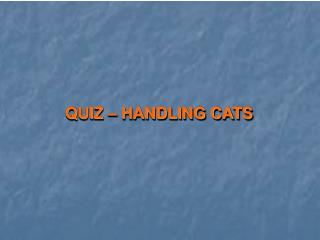 QUIZ – HANDLING CATS