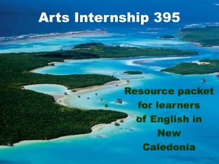Arts Internship 395